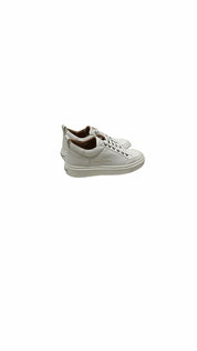 ASBBBDM 3297 TWT - Accessori abbigliamento - ALEXANDER SMITH