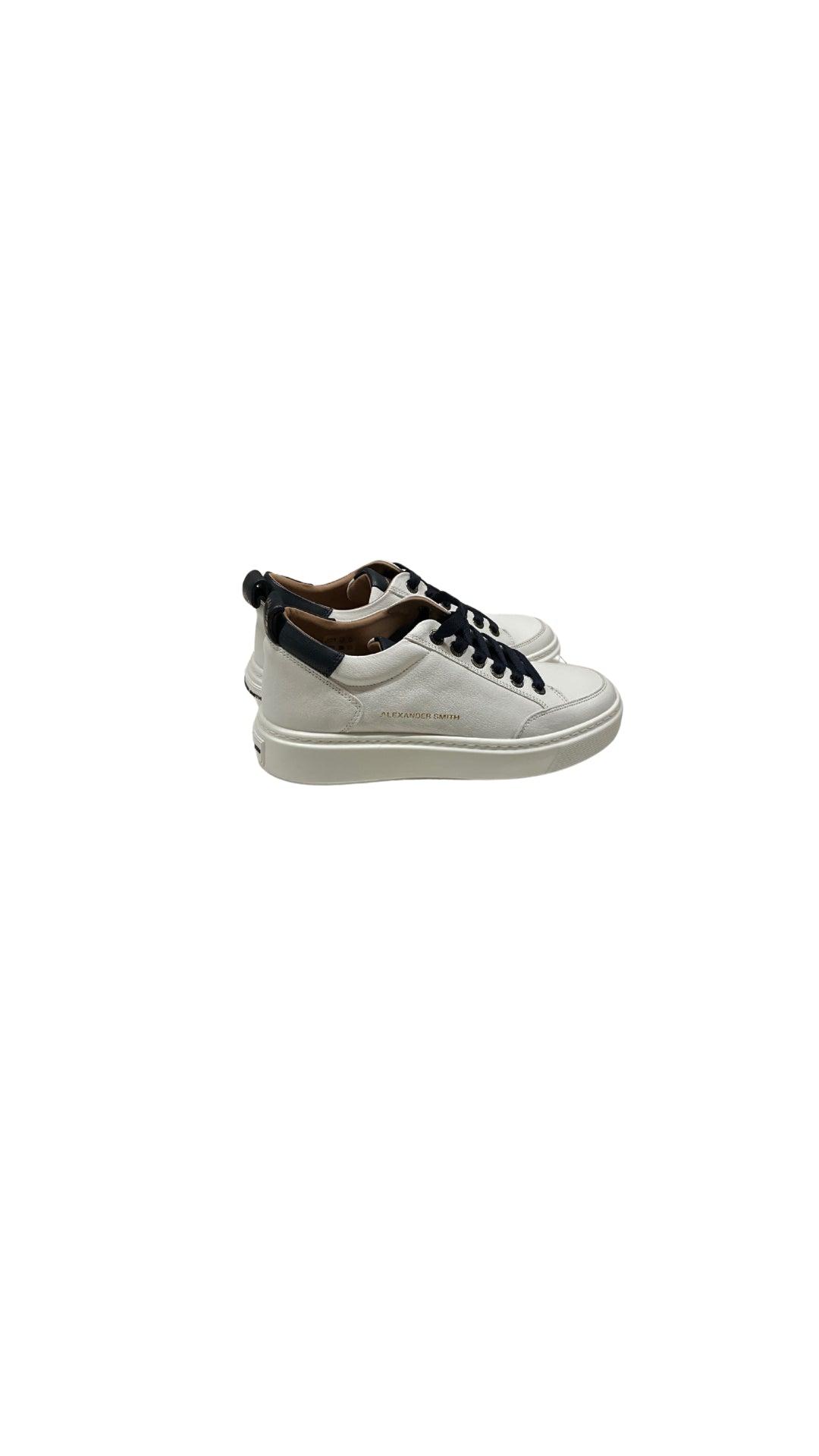 ASBBBDM 3297 WBL - Accessori abbigliamento - ALEXANDER SMITH