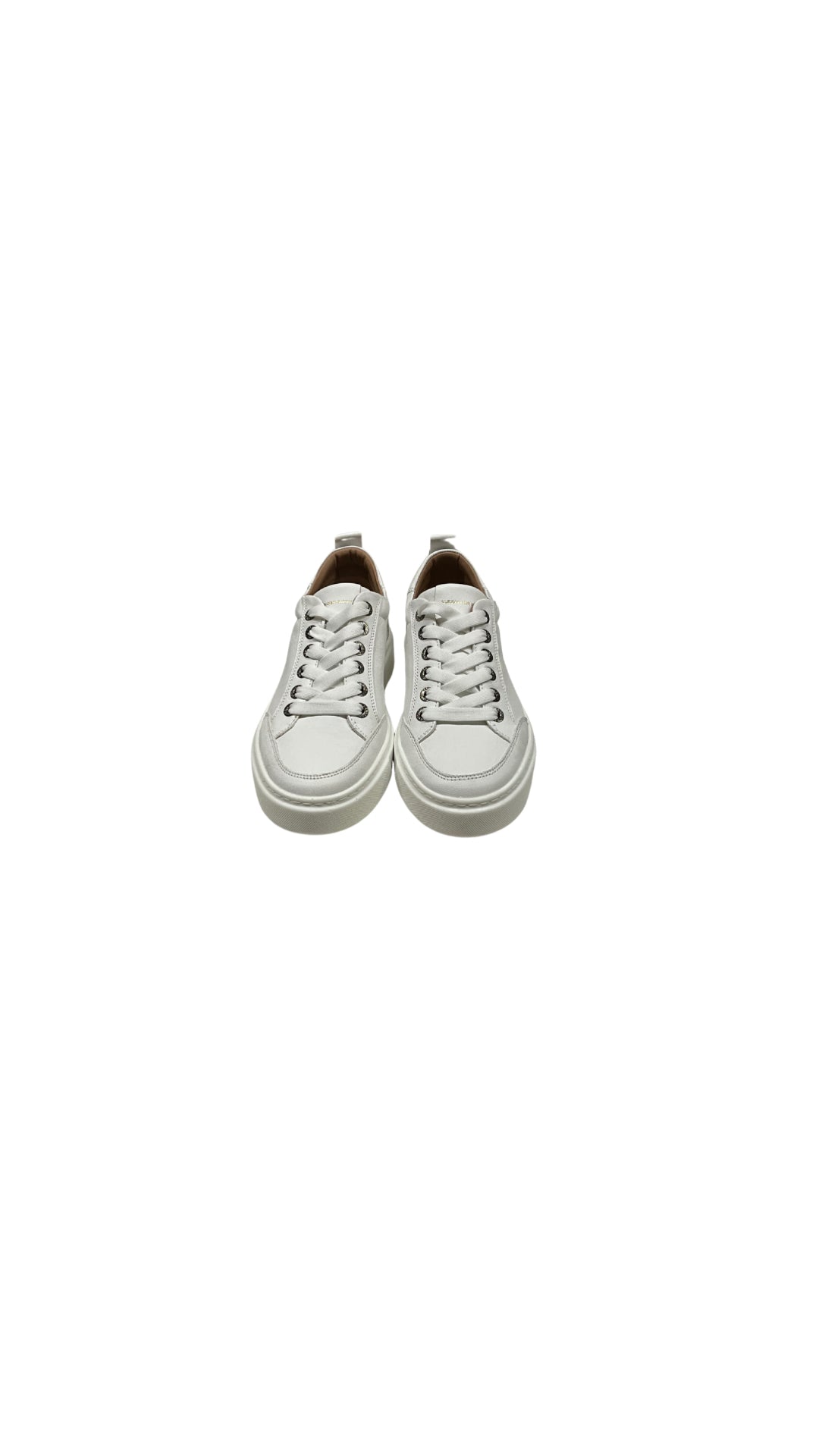 ASBBBDM 3297 TWT - Accessori abbigliamento - ALEXANDER SMITH