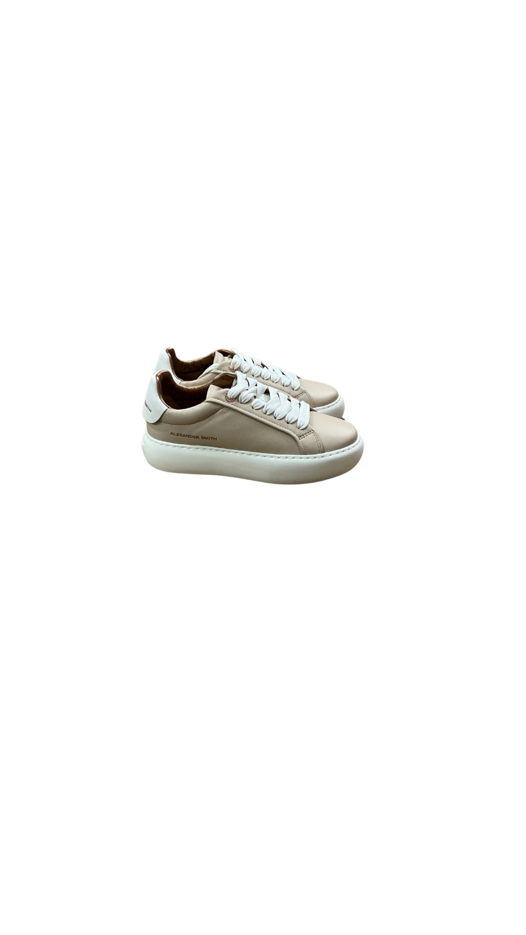 ASBBSOW 3562 - Accessori abbigliamento - ALEXANDER SMITH