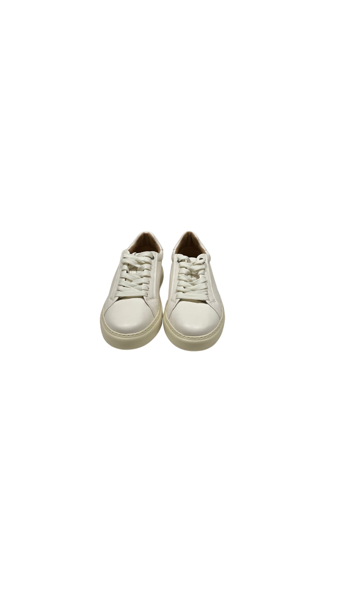 ASBBSOM 3660 - Accessori abbigliamento - ALEXANDER SMITH