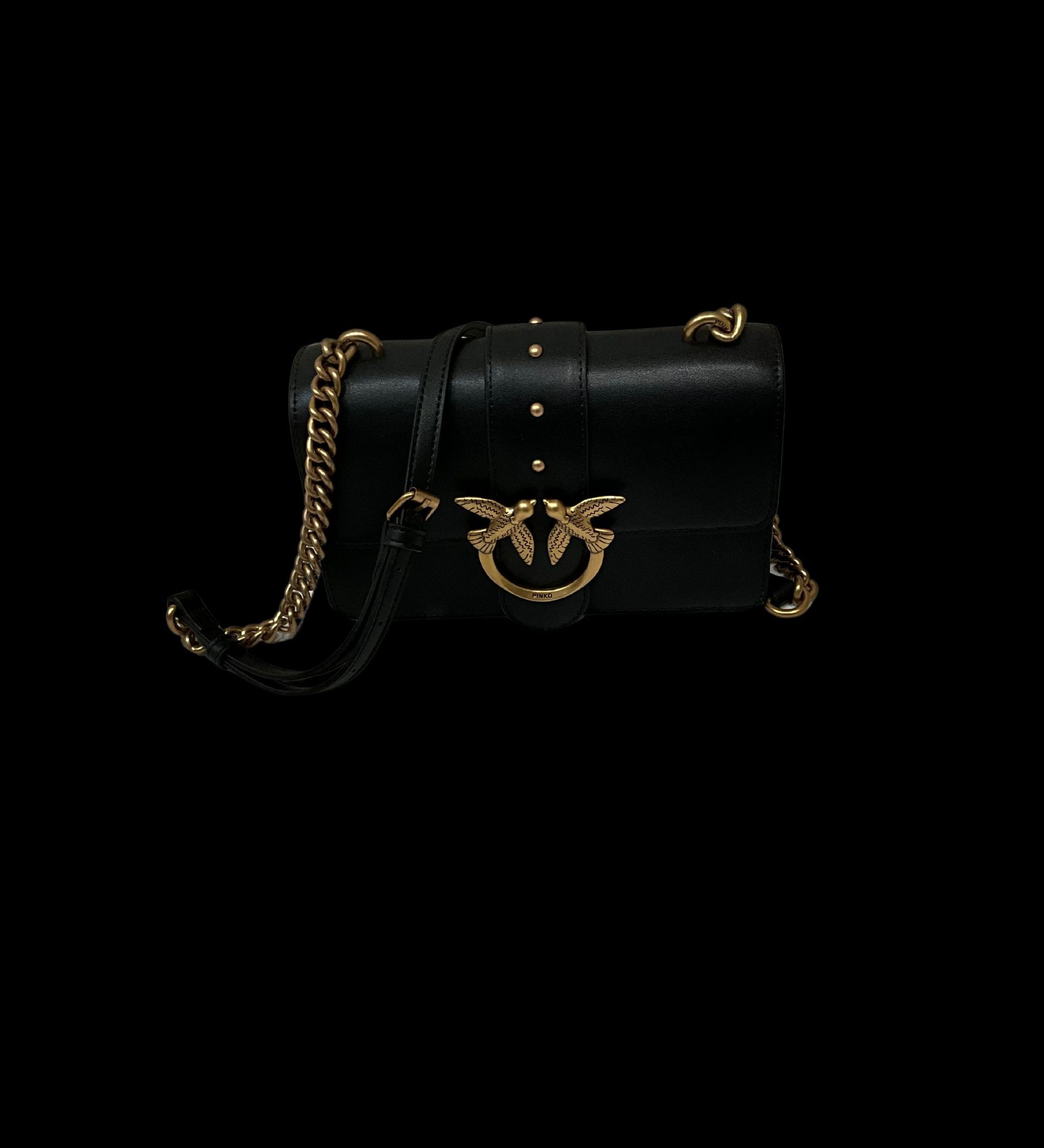 100053- A0F1 - Accessori abbigliamento - PINKO