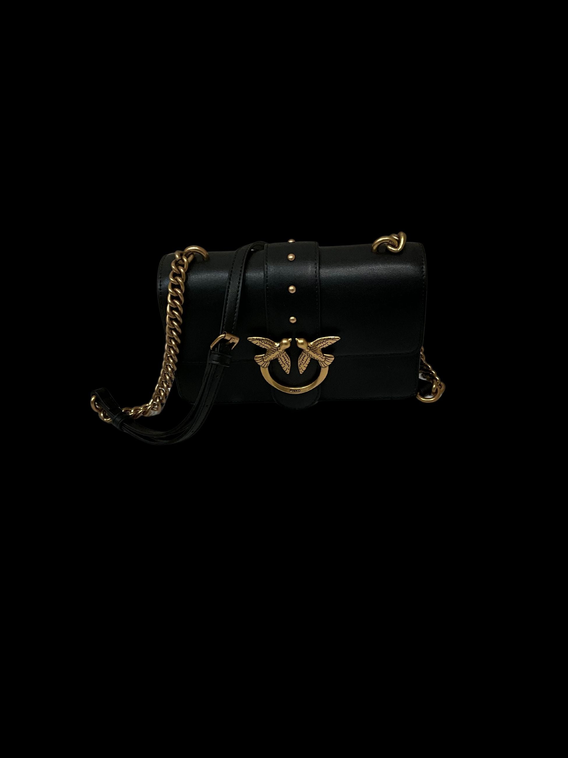100053- A0F1 - Accessori abbigliamento - PINKO