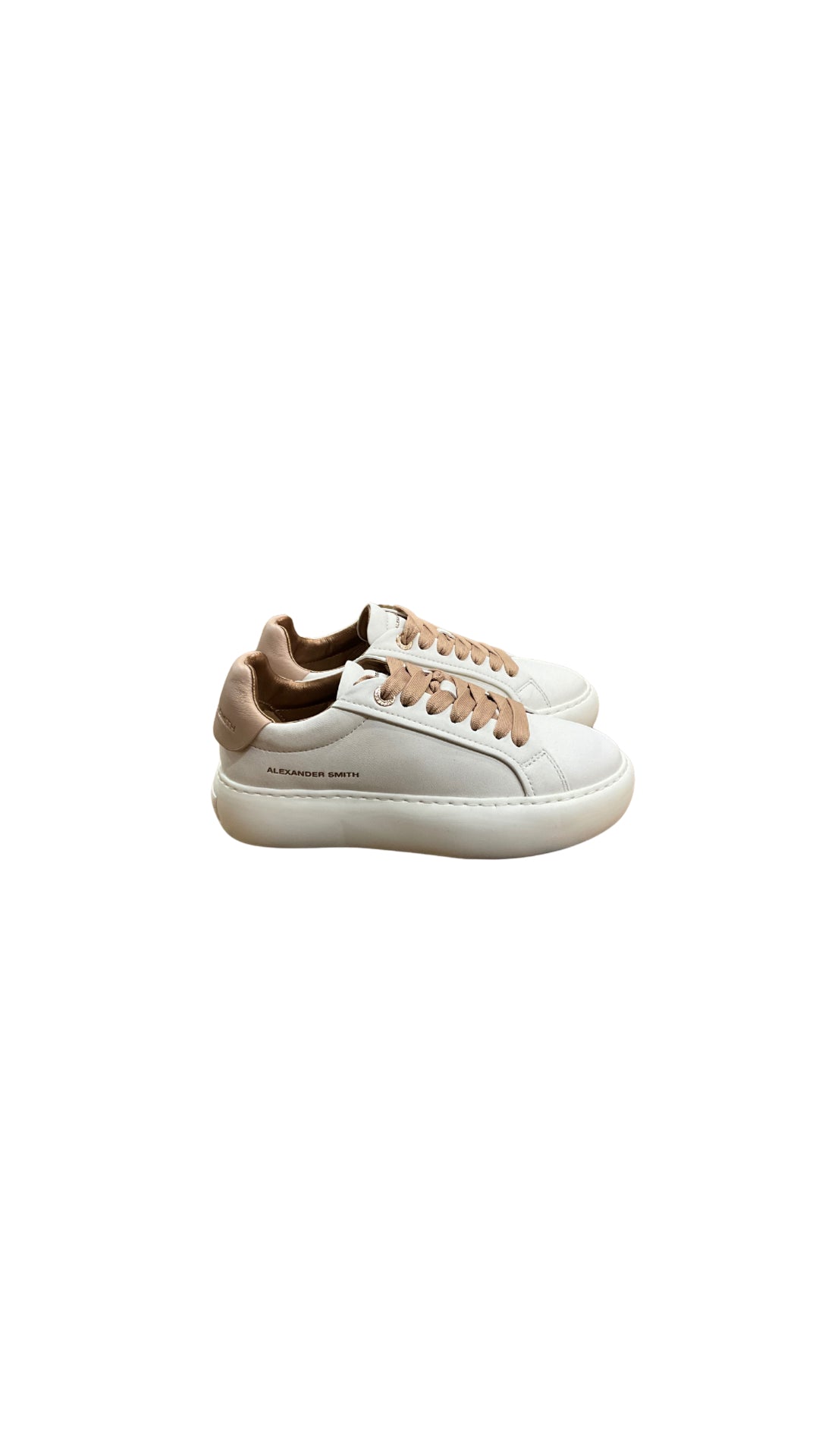 ASBBSOW 3563 - Accessori abbigliamento - ALEXANDER SMITH